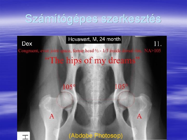 Számítógépes szerkesztés (Abdobe Photosop) 