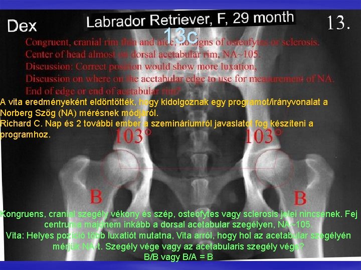 13 c A vita eredményeként eldöntötték, hogy kidolgoznak egy programot/irányvonalat a Norberg Szög (NA)