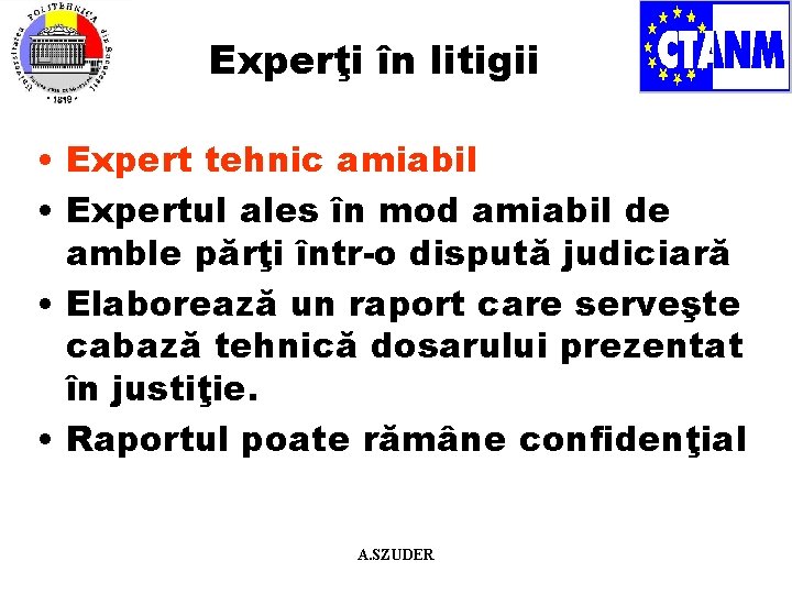 Experţi în litigii • Expert tehnic amiabil • Expertul ales în mod amiabil de