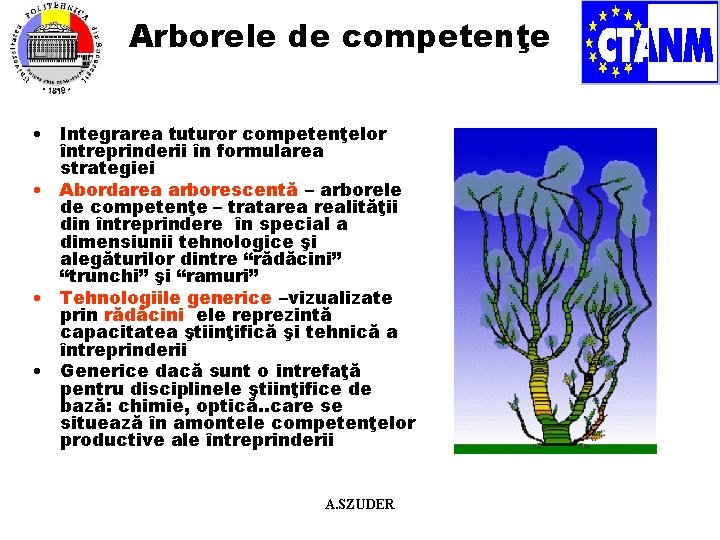 Arborele de competenţe • Integrarea tuturor competenţelor întreprinderii în formularea strategiei • Abordarea arborescentă