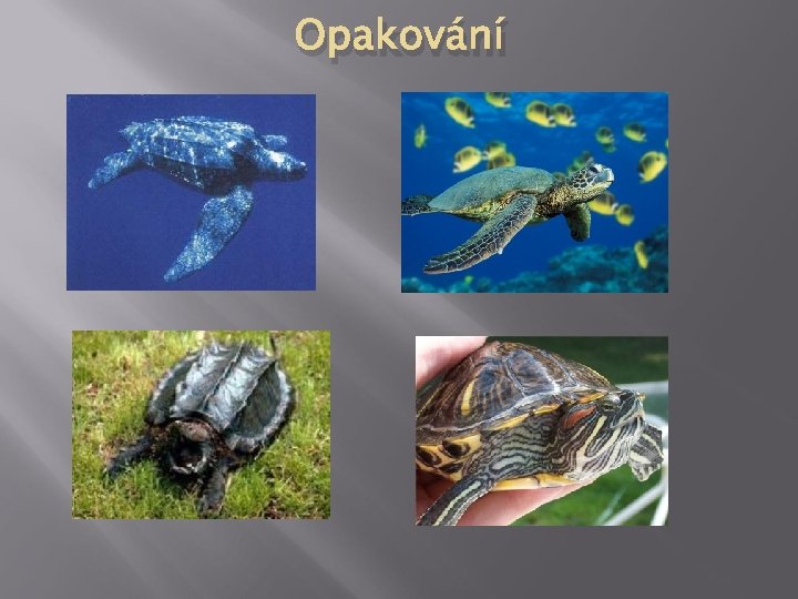 Opakování 