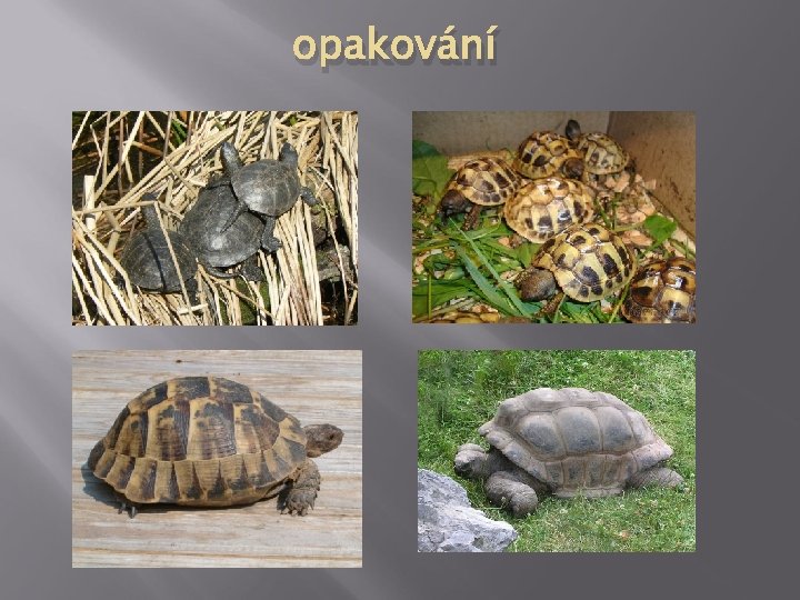 opakování 