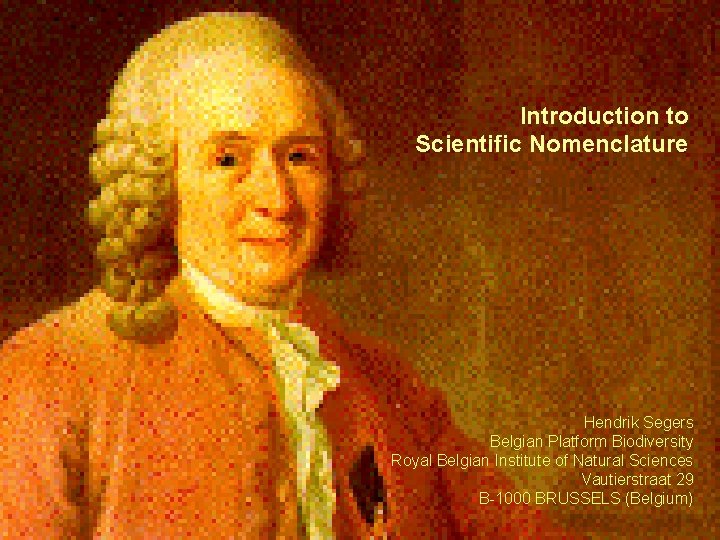 Introduction to Scientific Nomenclature Hendrik Segers Belgian Platform Biodiversity Royal Belgian Institute of Natural