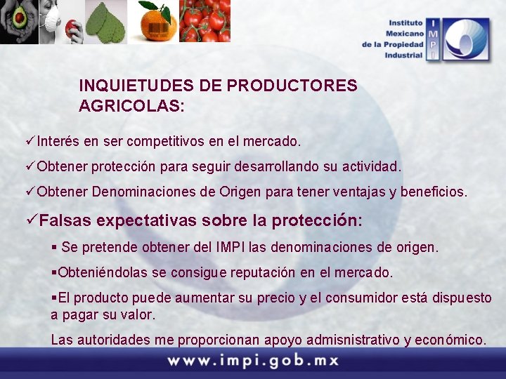 INQUIETUDES DE PRODUCTORES AGRICOLAS: üInterés en ser competitivos en el mercado. üObtener protección para