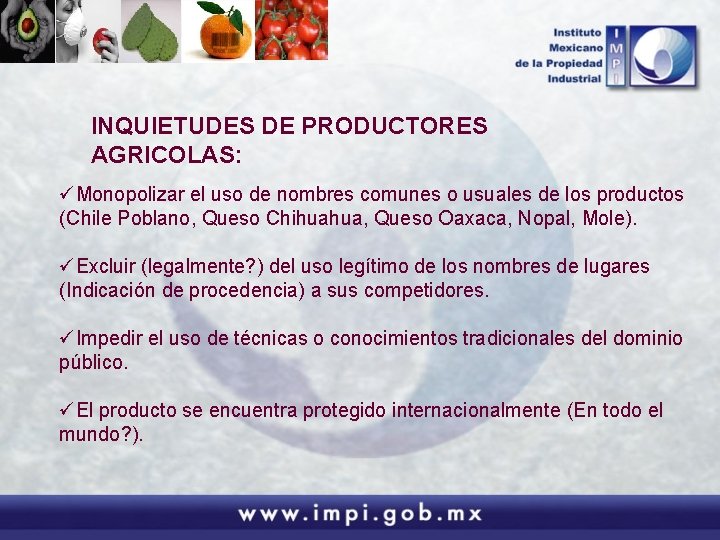 INQUIETUDES DE PRODUCTORES AGRICOLAS: üMonopolizar el uso de nombres comunes o usuales de los