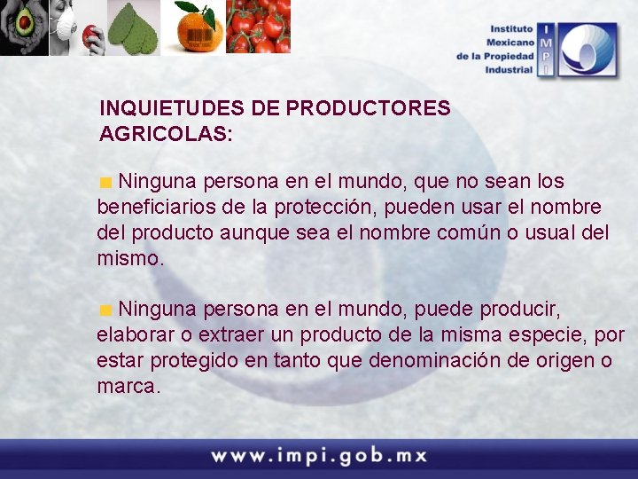 INQUIETUDES DE PRODUCTORES AGRICOLAS: Ninguna persona en el mundo, que no sean los beneficiarios