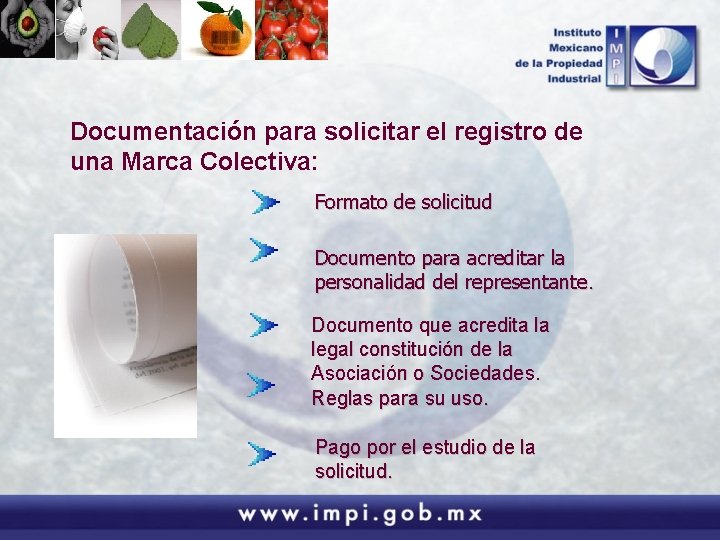 Documentación para solicitar el registro de una Marca Colectiva: Formato de solicitud Documento para