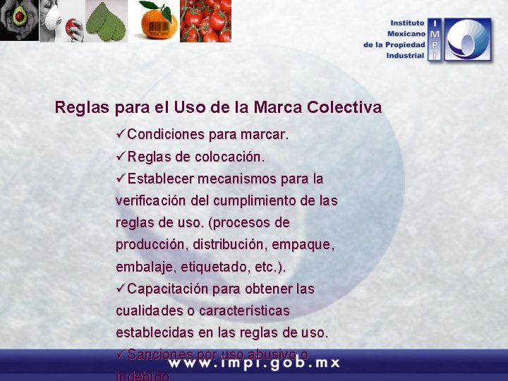 Reglas para el Uso de la Marca Colectiva üCondiciones para marcar. üReglas de colocación.