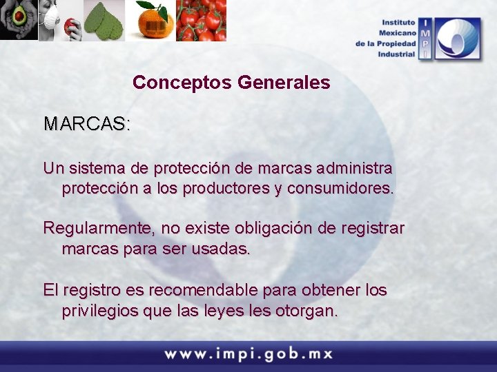 Conceptos Generales MARCAS: Un sistema de protección de marcas administra protección a los productores