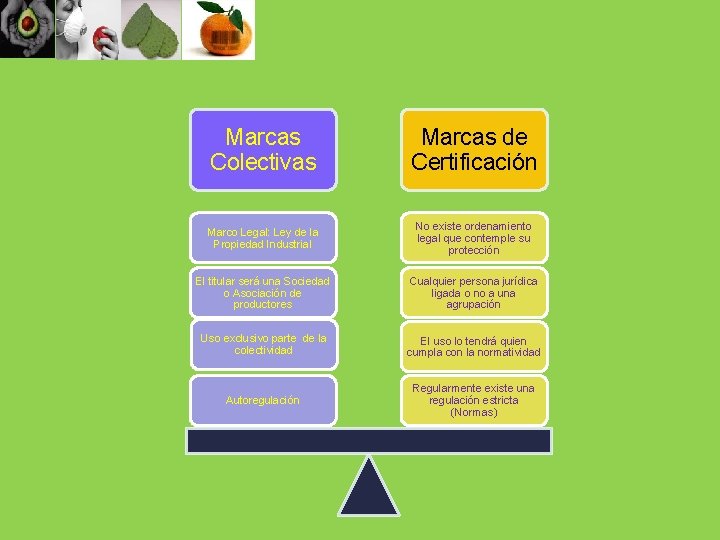 Marcas Colectivas Marcas de Certificación Marco Legal: Ley de la Propiedad Industrial No existe