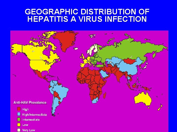 GEOGRAPHIC DISTRIBUTION OF HEPATITIS A VIRUS INFECTION 