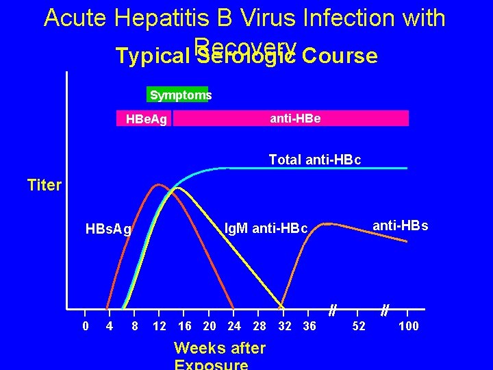 Acute Hepatitis B Virus Infection with Typical Recovery Serologic Course Symptoms anti-HBe HBe. Ag