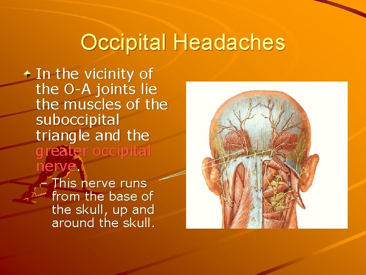 Occipital Headaches In the vicinity of the O-A joints lie the muscles of the