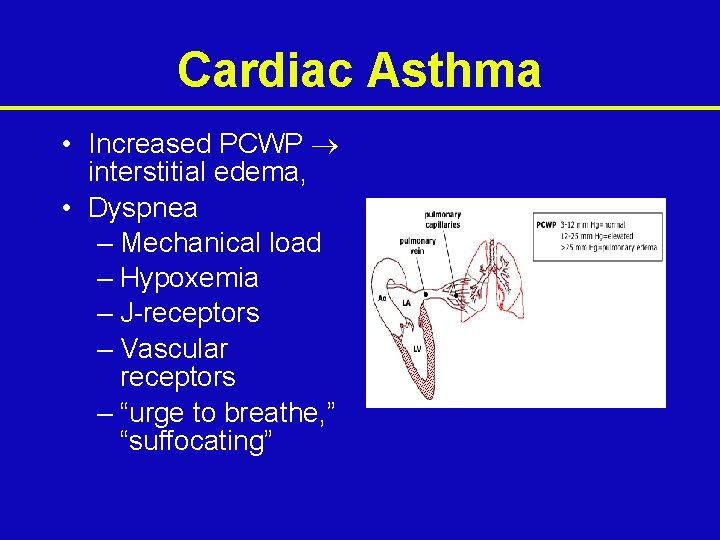 Cardiac Asthma • Increased PCWP interstitial edema, • Dyspnea – Mechanical load – Hypoxemia