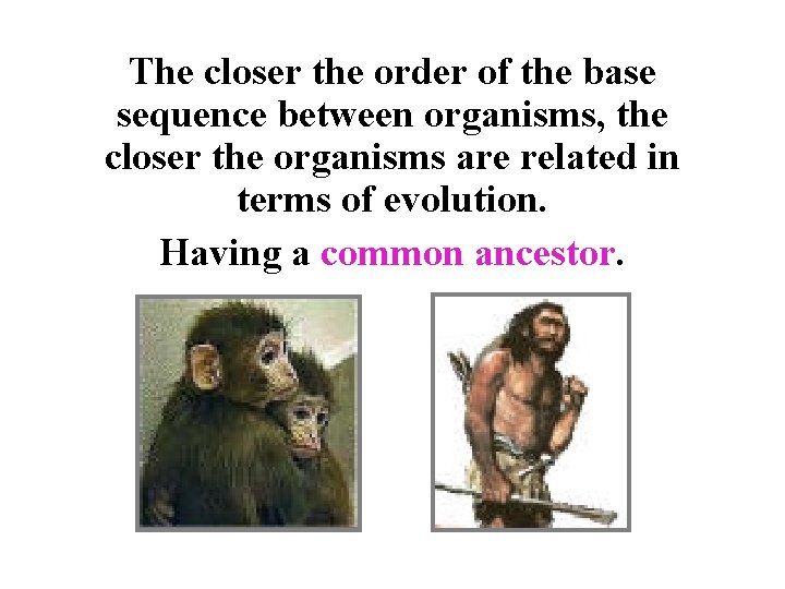 The closer the order of the base sequence between organisms, the closer the organisms