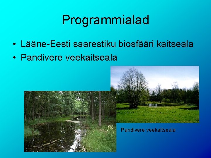 Programmialad • Lääne-Eesti saarestiku biosfääri kaitseala • Pandivere veekaitseala 