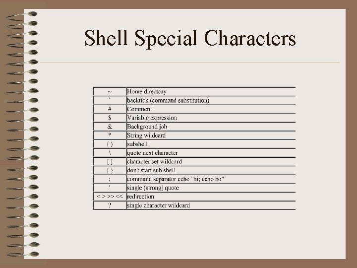 Shell Special Characters 