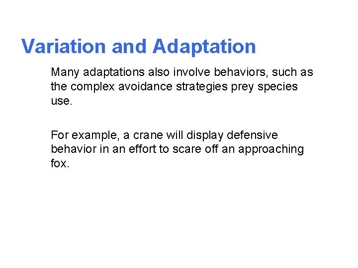 Variation and Adaptation Many adaptations also involve behaviors, such as the complex avoidance strategies