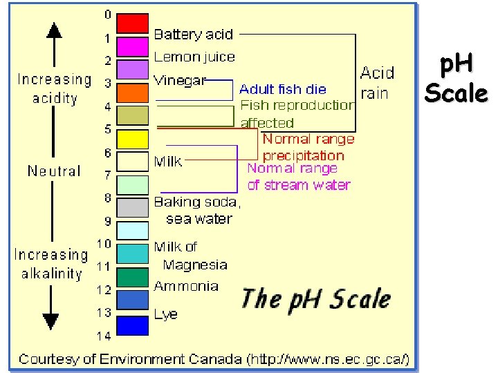 p. H Scale 