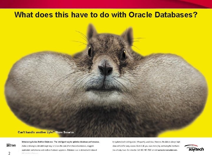 What does this have to do with Oracle Databases? 2 What does this have to do with Oracle Databases? 2