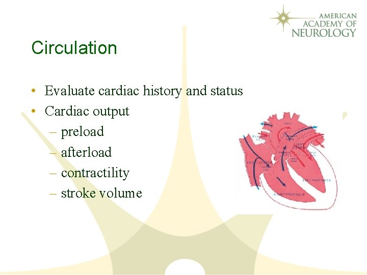 Circulation • Evaluate cardiac history and status • Cardiac output – preload – afterload