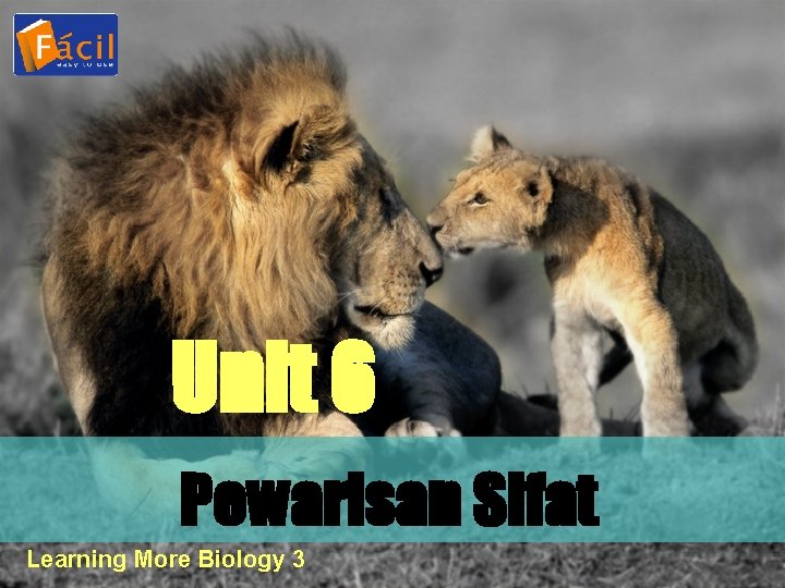 Unit 6 Pewarisan Sifat Learning More Biology 3 