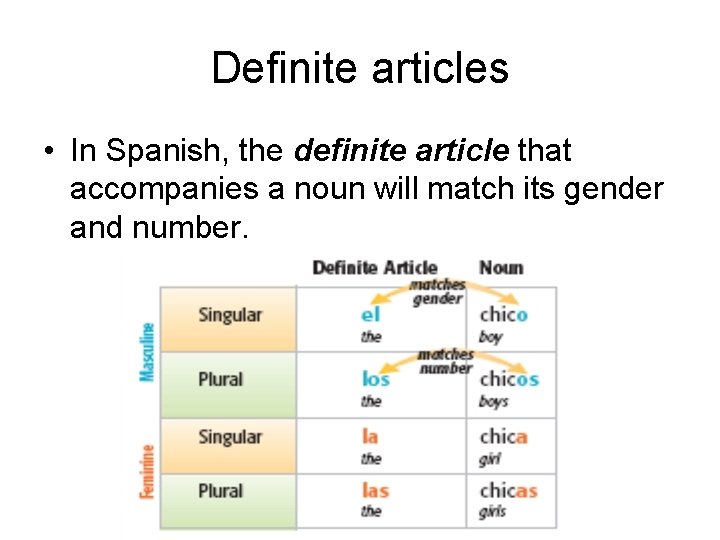 Definite articles • In Spanish, the definite article that accompanies a noun will match