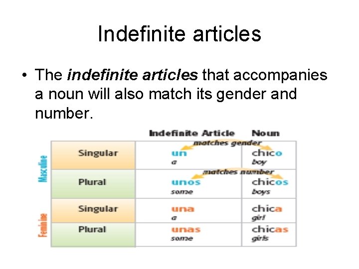 Indefinite articles • The indefinite articles that accompanies a noun will also match its