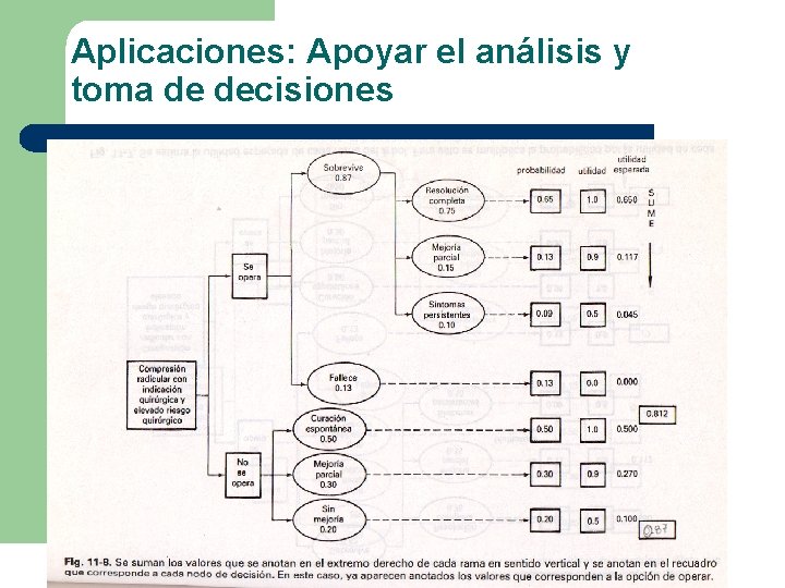 Aplicaciones: Apoyar el análisis y toma de decisiones Aplicaciones: Apoyar el análisis y toma de decisiones
