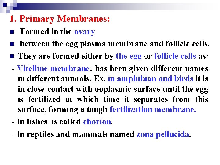 1. Primary Membranes: Formed in the ovary n between the egg plasma membrane and