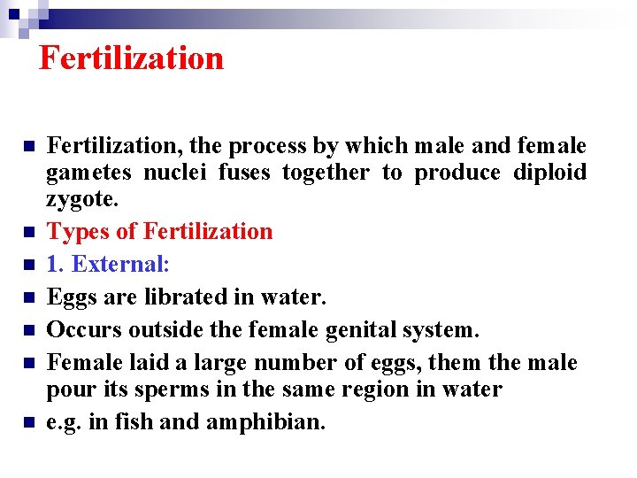 Fertilization n n n Fertilization, the process by which male and female gametes nuclei