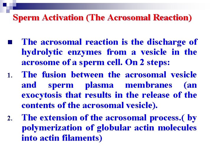 Sperm Activation (The Acrosomal Reaction) n 1. 2. The acrosomal reaction is the discharge