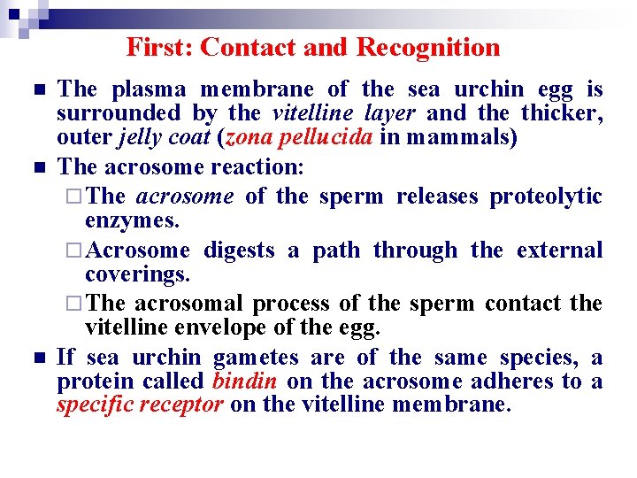 First: Contact and Recognition n The plasma membrane of the sea urchin egg is