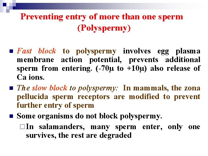 Preventing entry of more than one sperm (Polyspermy) n n n Fast block to