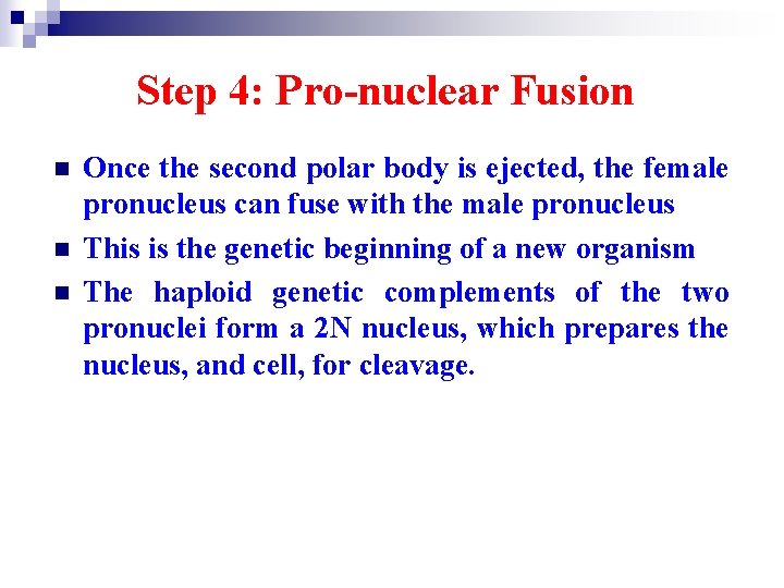 Step 4: Pro-nuclear Fusion n Once the second polar body is ejected, the female