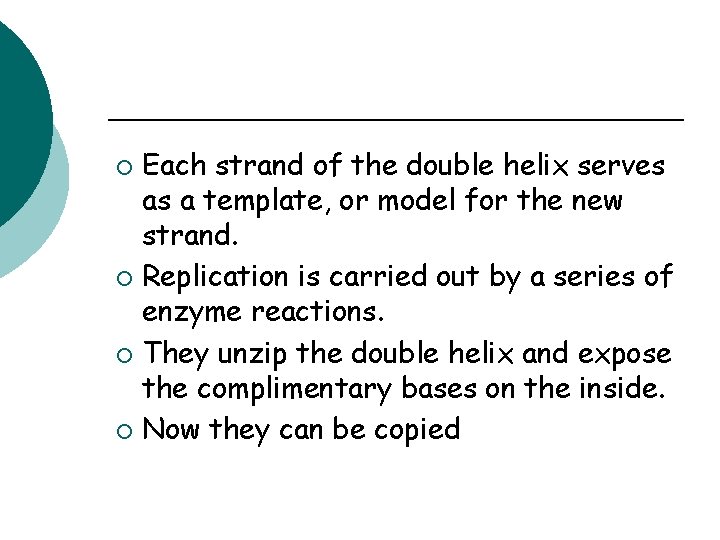 Each strand of the double helix serves as a template, or model for the