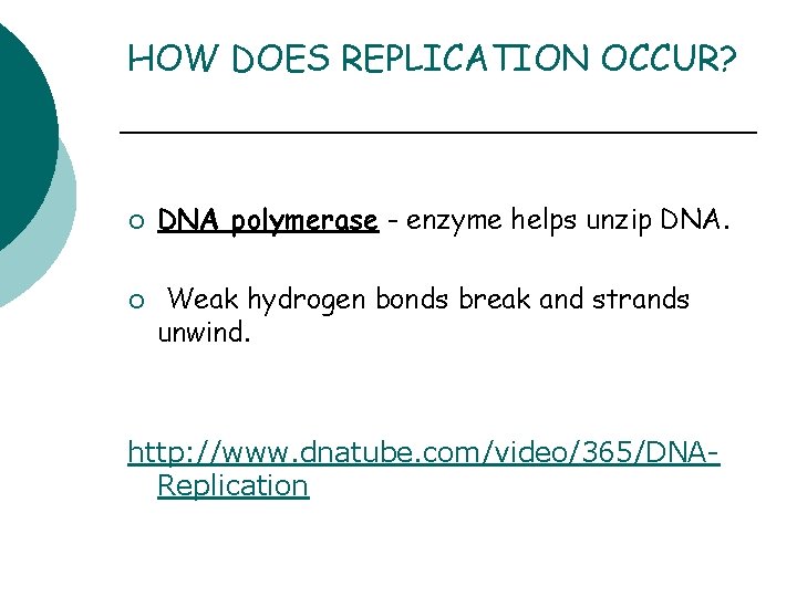 HOW DOES REPLICATION OCCUR? ¡ ¡ DNA polymerase - enzyme helps unzip DNA. Weak