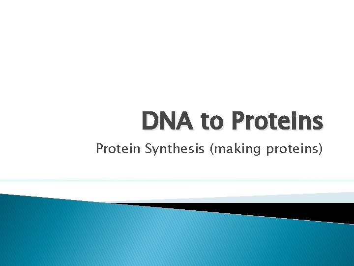 DNA to Proteins Protein Synthesis (making proteins) 