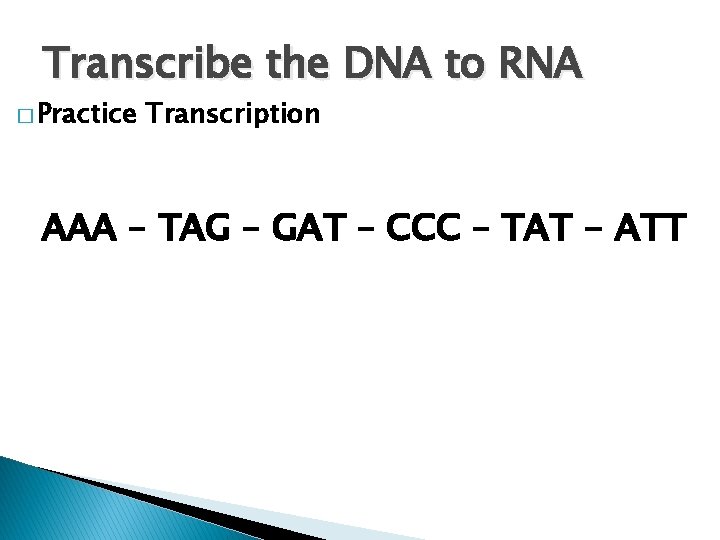 Transcribe the DNA to RNA � Practice Transcription AAA – TAG – GAT –