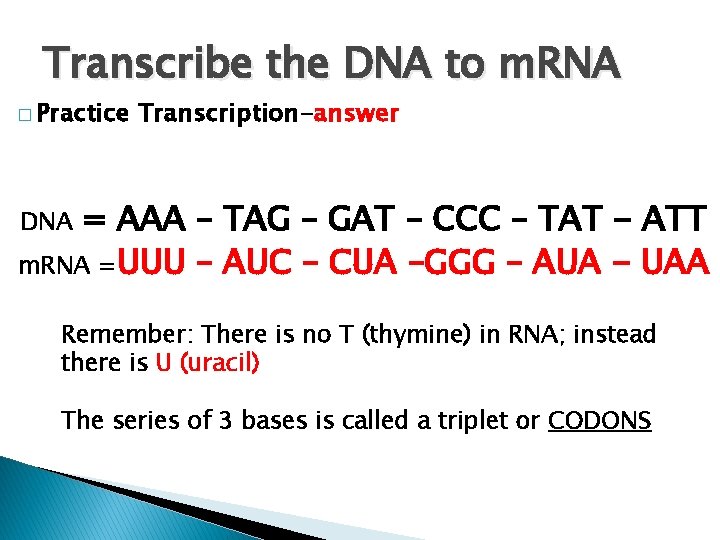 Transcribe the DNA to m. RNA � Practice Transcription-answer = AAA – TAG – Transcribe the DNA to m. RNA � Practice Transcription-answer = AAA – TAG –