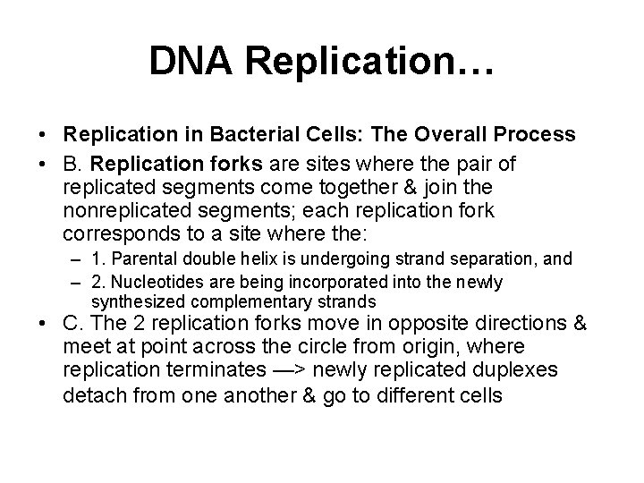 DNA Replication… • Replication in Bacterial Cells: The Overall Process • B. Replication forks