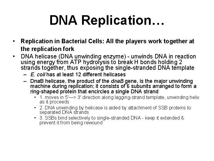 DNA Replication… • Replication in Bacterial Cells: All the players work together at the