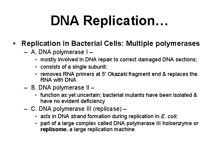 DNA Replication… • Replication in Bacterial Cells: Multiple polymerases – A. DNA polymerase I