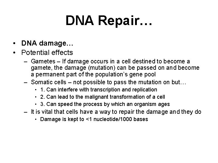 DNA Repair… • DNA damage… • Potential effects – Gametes – If damage occurs