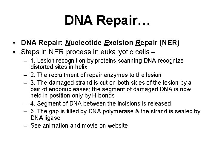 DNA Repair… • DNA Repair: Nucleotide Excision Repair (NER) • Steps in NER process