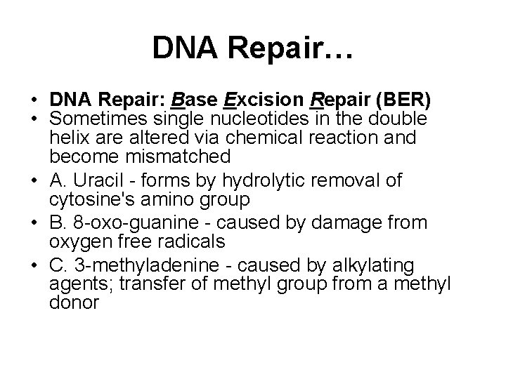 DNA Repair… • DNA Repair: Base Excision Repair (BER) • Sometimes single nucleotides in