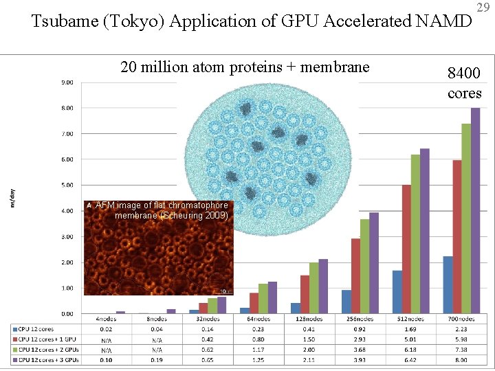 Tsubame (Tokyo) Application of GPU Accelerated NAMD 20 million atom proteins + membrane 29