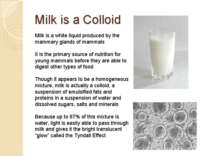 Milk is a Colloid Milk is a white liquid produced by the mammary glands