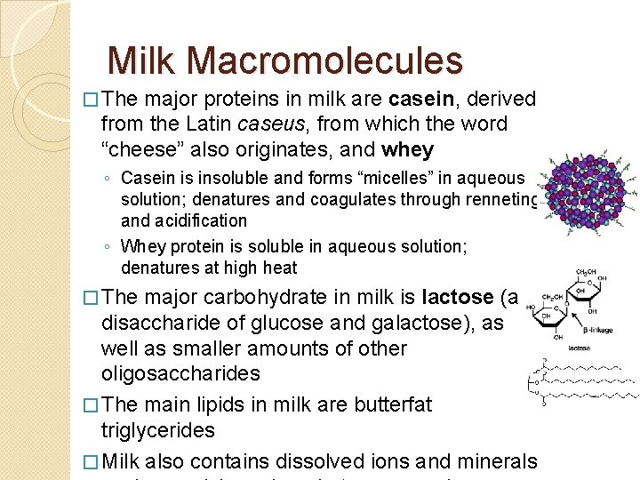 Milk Macromolecules � The major proteins in milk are casein, derived from the Latin