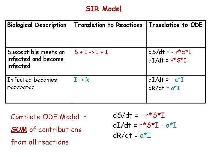 SIR Model Biological Description Translation to Reactions Translation to ODE Susceptible meets an infected